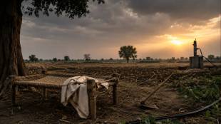 Yavatmal farmer suicide Pimplapur Ralegaon | Dnyaneshwar Malekar suicide news | Maharashtra farmer crisis Mahavitran negligence | Yavatmal district agriculture news Marathi