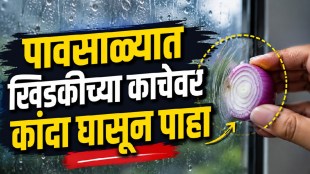 Onion rubbing on window glass viral cleaning hack explained