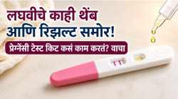 Pregnancy Test Kit : प्रेग्नेंसी किट कसं ओळखतं तुम्ही प्रेग्नेंट आहात की नाही? २ लाईनचा नेमका अर्थ काय, वाचा