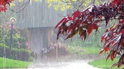 I have never seen heavy rain like this before; असा पाऊस म्या आयुष्यात बघितला नाही, बाबा