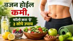 पोटाची चरबी झटपट विरघळेल; वजन होईल कमी, फॉलो करा सेलिब्रिटी न्यूट्रिशनिस्टनी सांगितलेले ‘हे’ ३ सोपे उपाय