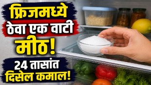 Bowl of salt inside refrigerator during monsoon to reduce moisture and unpleasant odors