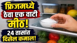 पावसाळ्यात फ्रिजमध्ये फक्त एक वाटी मीठ ठेवा; पुढच्या २४ तासांत असा बदल दिसेल की, तुम्हालाही विश्वास बसणार नाही!