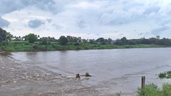 सांगली : पश्चिम भागात कमी झालेला पावसाचा जोर पुन्हा वधारल्याने वारणाकाठी चिंता