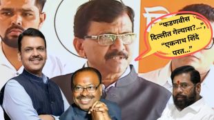 Devendra Fadnavis Delhi cabinet move | Sanjay Raut prediction Chandrashekhar Bavankule CM 2026 | देवेंद्र फडणवीस दिल्ली मंत्रिपद चर्चा | संजय राऊत राजकीय भाकीत चंद्रशेखर बावनकुळे मुख्यमंत्री २०२६