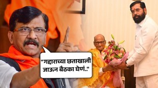 MP Sanjay Raut Criticizied Sharad Pawar