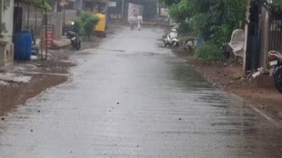 Sangli rain updates today | Maharashtra monsoon news | Shirala Walwa rainfall status | Kharif crop sowing Sangli district