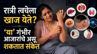 Skin itching at night causes