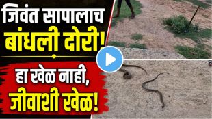 Children dragging a snake tied with a rope in a viral video