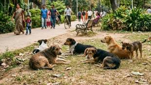 The complainant had alleged that his daughter was brutally attacked by stray dogs. (Photo-AI)