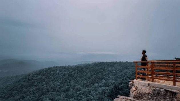 best firefly watching spots in India
