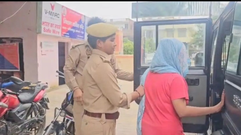 Meerut snakebite murder case investigation | Poisonous Common Krait snake used in crime | मेरठ सर्पदंश हत्या प्रकरण आरोपी दामिनी आणि प्रियकर | विषारी कॉमन क्रेट सापाचा वापर करून हत्या