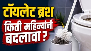 When to change a toilet brush for better bathroom hygiene