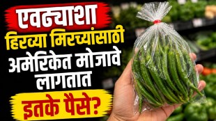 Indian woman showing green chilli prices inside a US supermarket in a viral video