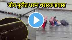 विरारकरांच्या अशा स्थितीला जबाबदार कोण? रेल्वे रुळ पाण्याखाली, पायी चालत प्रवास; धडकी भरवणारे VIDEOS