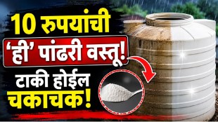 Water tank cleaning trick using white powder during monsoon to remove dirt and algae easily