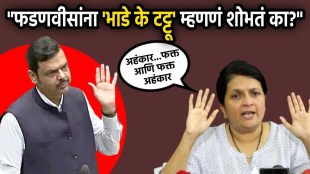 Devendra Fadnavis speaking on Mumbai Pune Expressway Missing Link | Anjali Damania criticizing Devendra Fadnavis | मुंबई पुणे एक्सप्रेसवे मिसिंग लिंक वादावर देवेंद्र फडणवीस | अंजली दमानिया यांची देवेंद्र फडणवीसांवर टीका