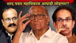 शरद पवार महाविकास आघाडी मोडणार? राष्ट्रवादीच्या निम्म्या आमदारांची सत्तेला पसंती? पडद्यामागे काय घडतंय? वाचा सविस्तर