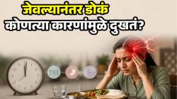 रोज एकाचवेळी जेवत नसाल तर ‘हा’ त्रास होणार! खाण्याचे वेळापत्रक कसे असावे? डॉक्टर आणि तज्ज्ञांकडून जाणून घ्या