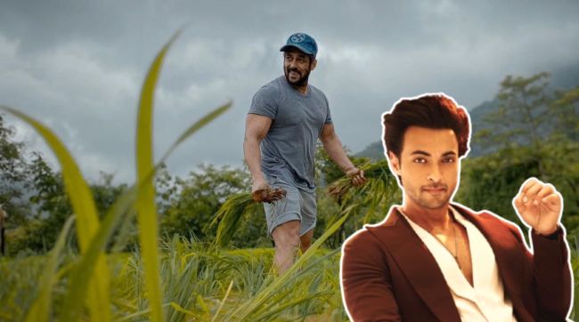aayush-sharma-reveals-salman-khan-panvel-farmhouse-rules