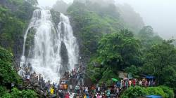 आंबोली घाटात पर्यटकांचा महापूर! घाटात वाहनांच्या लांबच लांब रांगा, धबधबे पूर्ण ताकदीने प्रवाहित; रिल्स, फोटोग्राफीची धूम