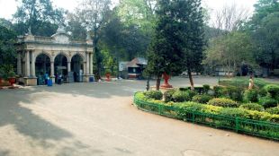 mumbai-byculla-zoo-to-get-asiatic-lions-in-exchange-for-capuchin-monkeys
