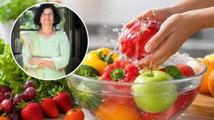 Asmita Prabhune Sofab Liquid Pune scientist pesticide remover | Green Pyramid Biotech Sofab liquid for washing fruits and vegetables