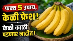 पावसाळ्यात बाजारातून केळी घरी आणल्यानंतर करा फक्त ‘हे’ ५ सोपे उपाय; १० दिवस केळी राहतील एकदम फ्रेश, पडणार नाहीत काळी