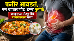 पनीर आवडतं पण खाताच पोट ‘टम्म’ फुगते, गॅस होतो, पण का? पोटफुगीचे नक्की कारण काय?