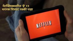रहस्य, थरार अन् धक्कादायक ट्विस्ट; नेटफ्लिक्सवरील ‘हे’ ११ चित्रपट अजिबात चुकवू नका, वाचा यादी…
