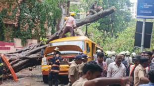 Chembur tree collapse accident Mumbai | Municipal Engineers Association protest | Mumbai Municipal Commissioner BMC | Suspension of civic engineers Mumbai