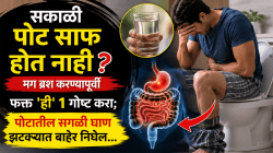 सकाळी पोट साफ होत नाही? मग ब्रश करण्यापूर्वी फक्त ‘ही’ १ गोष्ट करा; पोटातील सगळी घाण झटक्यात बाहेर निघेल…