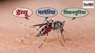 malaria, dengue, and chikungunya symptoms Comparison what doctor said in monsoon season precautions