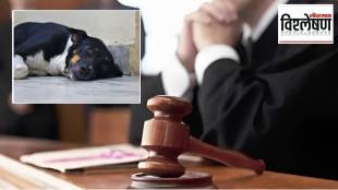 Dog has Religious significance in Hinduism court says while quashing FIR over Lord Krishna costume