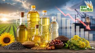 Edible oil import India | Solvent Extractors Association of India | Khadyatel aayat Maharashtra | Palm oil import rates 2026