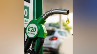 Maruti Suzuki E20 Petrol Court Case