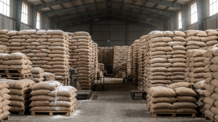 sugar stock limit restrictions | central government sugar policy | marathi news sugar prices | maharashtra sugar traders limit