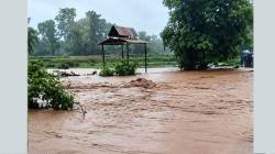 पाटणजवळ महापुरात चिता वाहून गेल्याने मृतदेहाची विटंबना प्रशासकीय उदासीनतेचा फटका; पाटण तालुक्यातील ढोरोशी गावावर शोककळा