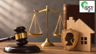 Allahabad High Court Domestic Violence Ruling | Divorce and Domestic Violence Law India | Section 482 BNSS Mini Trial | Women Legal Rights After Divorce India