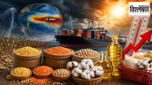 El Nino impact on India's agriculture weak monsoon affecting pulses edible oil and cotton production with rising imports