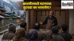 Kashmir Mutton Shortage : मांसाहारप्रेमी काश्मीरमध्ये मटणाचा प्रचंड तुटवडा का निर्माण झाला? कारण काय?