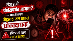 रोज रात्री उशिरापर्यंत जागता? मग ही सवय मेंदूसाठी ठरू शकते धोकादायक; डॉक्टरांनी दिला गंभीर इशारा…