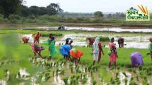 Maharashtra Kharif Sowing Update tractor farming | Climate Smart Farming Strategy Maharashtra seeds | महाराष्ट्रात खरीप पेरणी आकडेवारी २०२६ | हवामान अनुकूल शेती पीक पद्धती जलसंधारण
