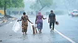 Maharashtra Rain Update : पुण्यात आजवरच्या इतिहासातील जुलैमधील चौथ्या क्रमांकाच्या पावसाची नोंद, अवघ्या सहा दिवसांतच पूर्ण महिन्याभराचा पाऊस!