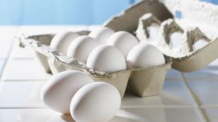 Egg Prices Rise in Mumbai and Pune retail market | Poultry farm production loss causing egg shortage | मुंबई पुण्यात अंड्यांचे दर वाढले | पोल्ट्री व्यवसायात घट आणि अंड्यांचा तुटवडा