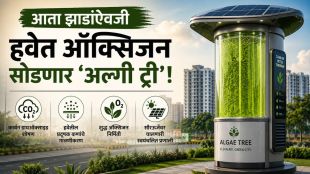 Pune Air Purification Algae Tree equipment | Pune Environmental Technology Amanora township | पुणे हवा शुद्धीकरण अल्गी ट्री | पुणे पर्यावरण तंत्रज्ञान अमनोरा