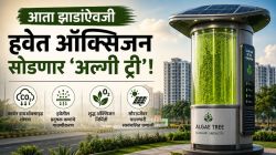 प्रदूषणमुक्त स्वच्छ हवेसाठी आता झाडांऐवजी अल्गी ट्री! पुण्यात अनोख्या पर्यावरणीय तंत्रज्ञानाचा प्रयोग