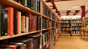Thane public library financial grant RRRLF | Raja Rammohan Roy Library Foundation schemes Maharashtra | Library modernization fund Thane district | Maharashtra government public library subsidy rules