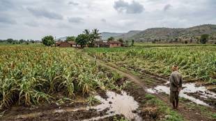 maharashtra farmers crop damage compensation | unseasonal rain relief fund distribution | maharashtra agriculture news update | govt financial aid for affected farmers