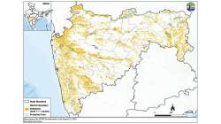 महाराष्ट्र ३०० कोटी वृक्ष लागवडीने हरित होईल?